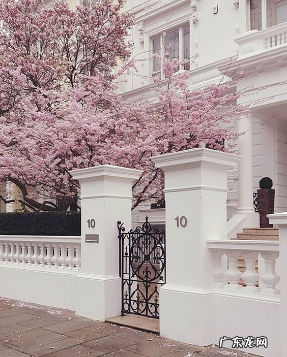 风水学所说的门对大路 门对着路风水如何