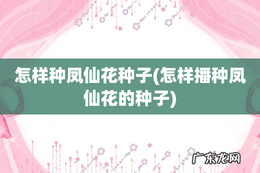 怎样播种凤仙花的种子 怎样种凤仙花种子