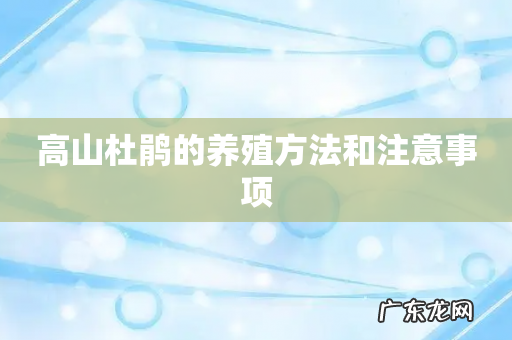 高山杜鹃的养殖方法和注意事项