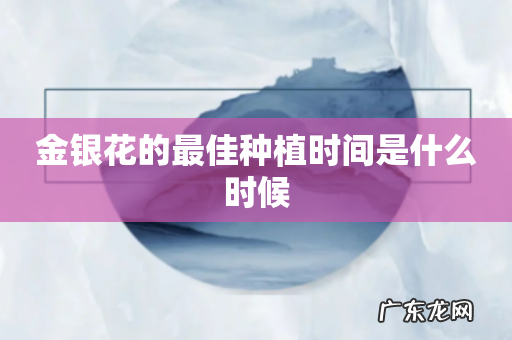 金银花的最佳种植时间是什么时候