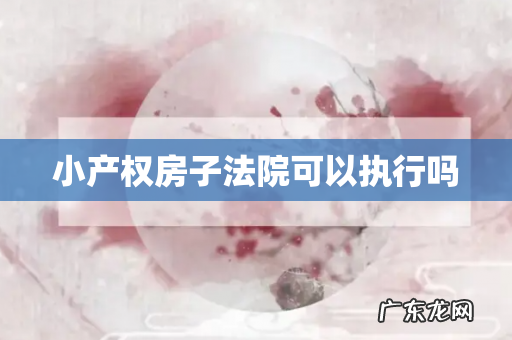 小产权房子法院可以执行吗