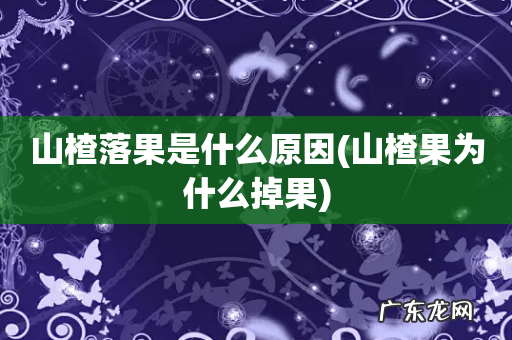 山楂果为什么掉果 山楂落果是什么原因