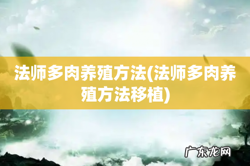 法师多肉养殖方法移植 法师多肉养殖方法