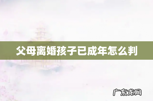 父母离婚孩子已成年怎么判