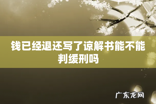 钱已经退还写了谅解书能不能判缓刑吗