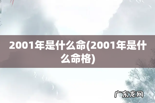 2001年是什么命格 2001年是什么命
