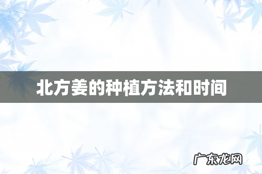 北方姜的种植方法和时间