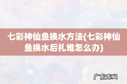 七彩神仙鱼换水后扎堆怎么办 七彩神仙鱼换水方法
