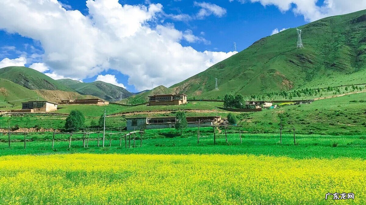 蛇地风水特征 有蛇出现的地方风水好吗