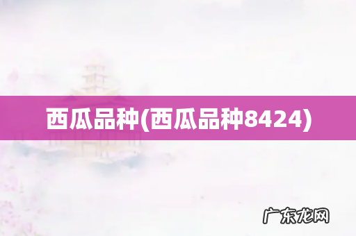 西瓜品种8424 西瓜品种