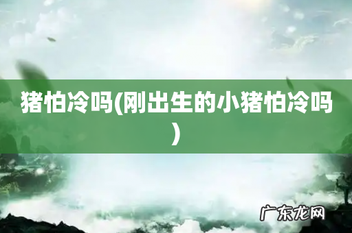 刚出生的小猪怕冷吗 猪怕冷吗