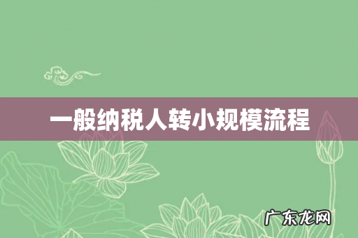 一般纳税人转小规模流程