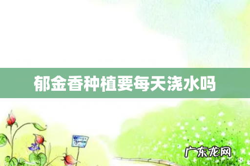 郁金香种植要每天浇水吗