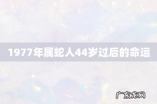 1977年属蛇人44岁过后的命运