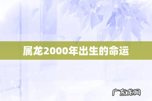 属龙2000年出生的命运