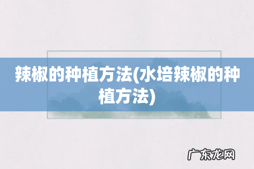 水培辣椒的种植方法 辣椒的种植方法