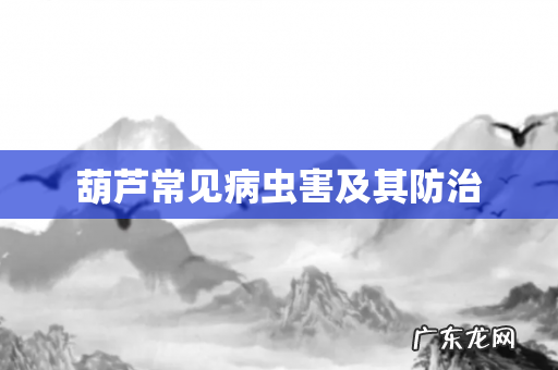 葫芦常见病虫害及其防治