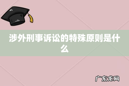 涉外刑事诉讼的特殊原则是什么