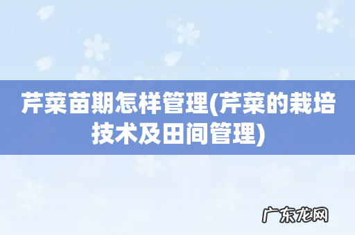芹菜的栽培技术及田间管理 芹菜苗期怎样管理