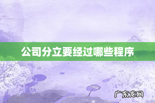 公司分立要经过哪些程序