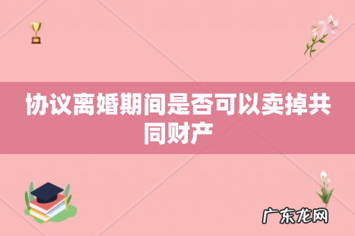 协议离婚期间是否可以卖掉共同财产