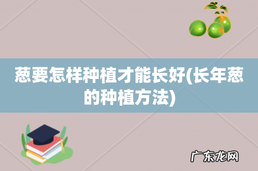 长年葱的种植方法 葱要怎样种植才能长好