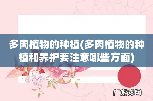 多肉植物的种植和养护要注意哪些方面 多肉植物的种植