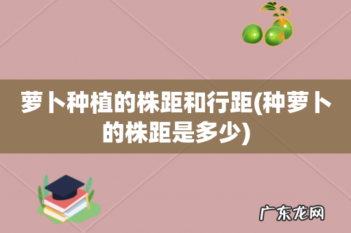 种萝卜的株距是多少 萝卜种植的株距和行距