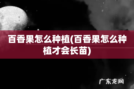 百香果怎么种植才会长苗 百香果怎么种植