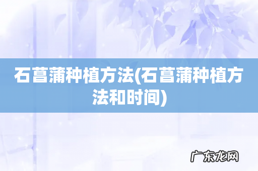 石菖蒲种植方法和时间 石菖蒲种植方法