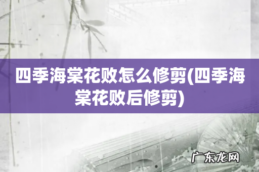四季海棠花败后修剪 四季海棠花败怎么修剪