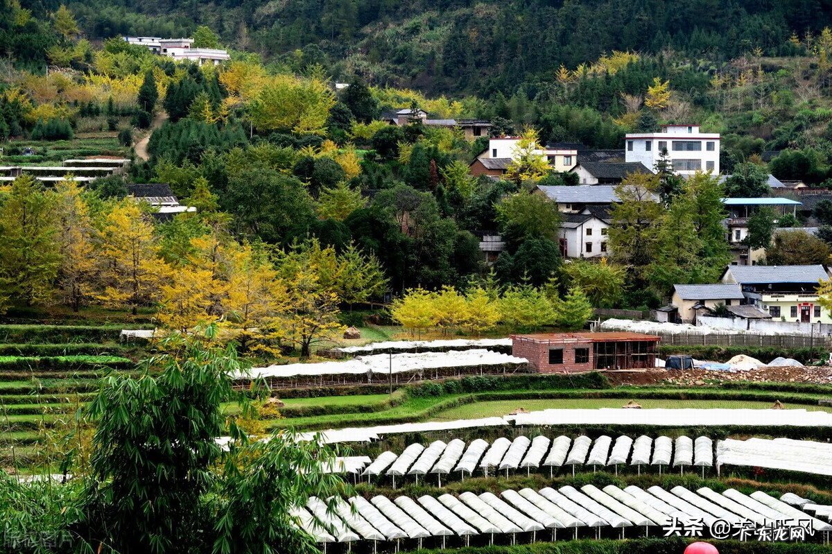 风水上院子是个斜坡好不好 楼盘在山坡上风水好吗