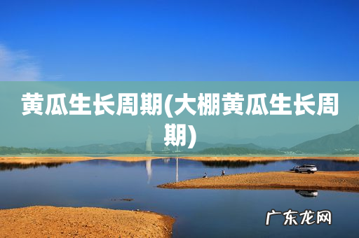 大棚黄瓜生长周期 黄瓜生长周期