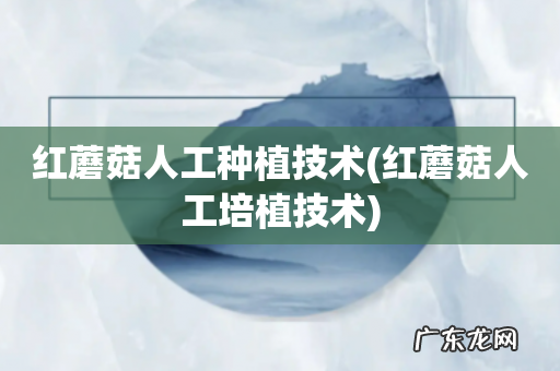 红蘑菇人工培植技术 红蘑菇人工种植技术