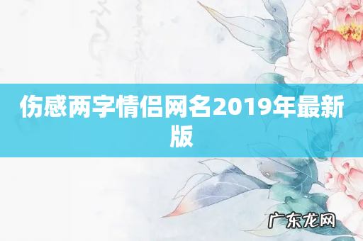 伤感两字情侣网名2019年最新版