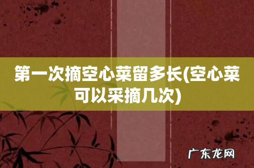 空心菜可以采摘几次 第一次摘空心菜留多长