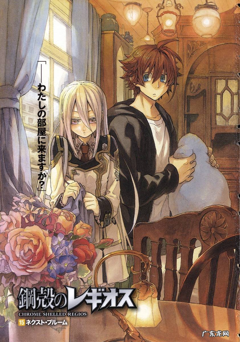 钢壳都市雷吉欧斯第一季 钢壳都市雷吉欧斯下载链接