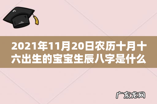 2021年11月20日农历十月十六出生的宝宝生辰八字是什么