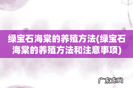 绿宝石海棠的养殖方法和注意事项 绿宝石海棠的养殖方法