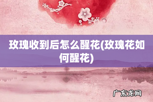 玫瑰花如何醒花 玫瑰收到后怎么醒花