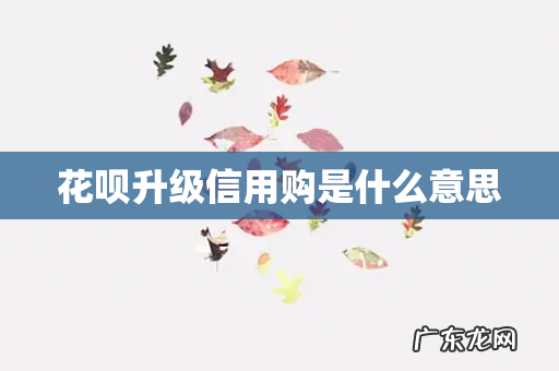 花呗升级信用购是什么意思