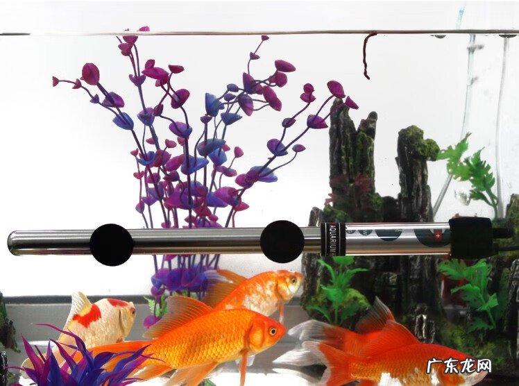 水缸风水作用 红色的水缸风水