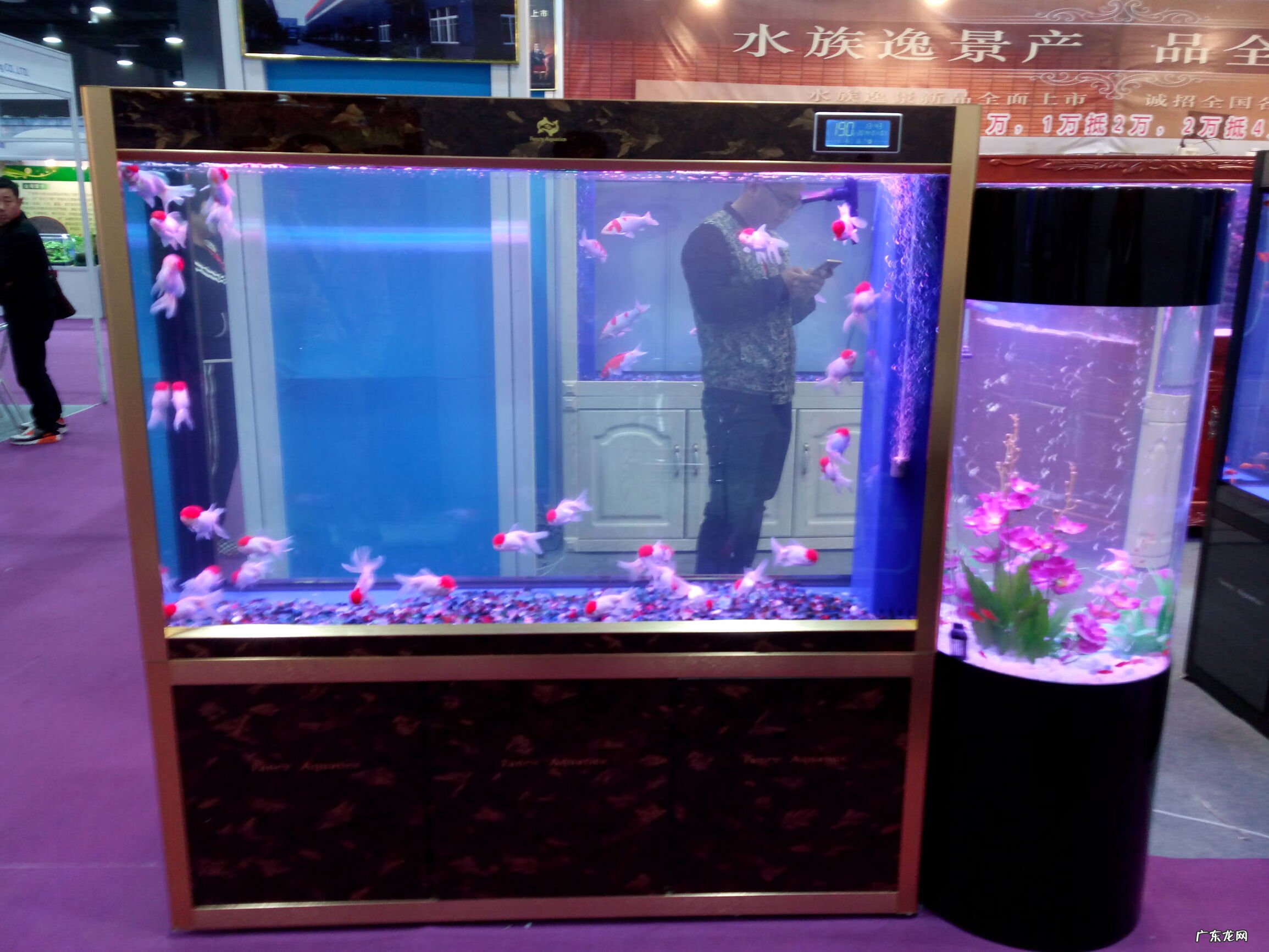 水缸风水作用 红色的水缸风水