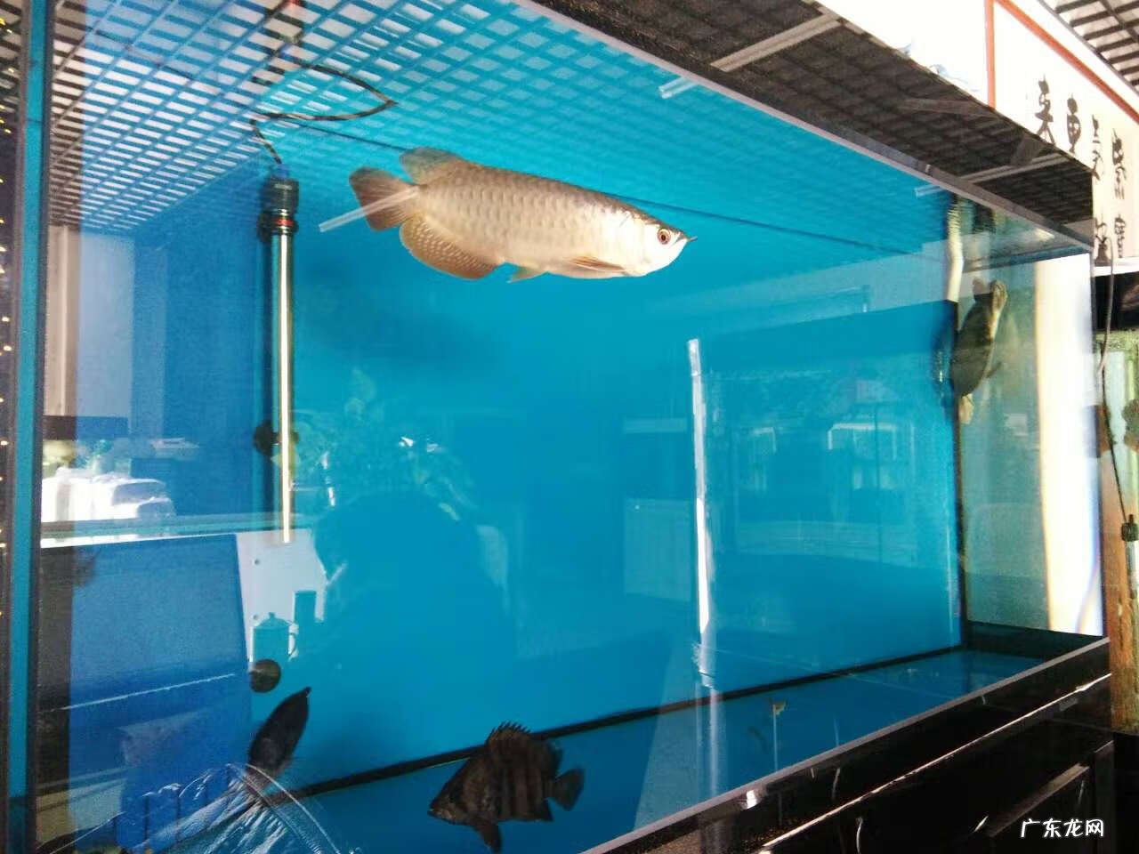 水缸风水作用 红色的水缸风水