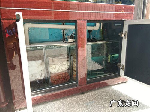 水缸风水作用 红色的水缸风水