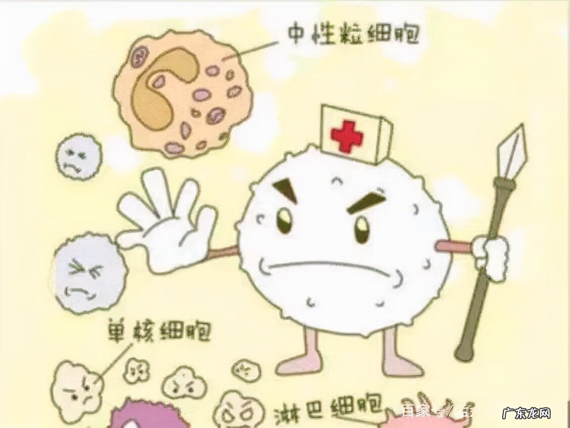 安乃近为什么被禁卖 安乃近为什么禁用比它好的是