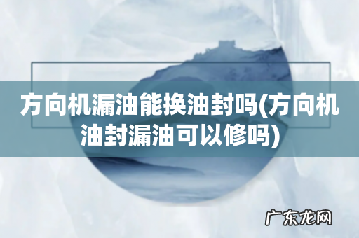 方向机油封漏油可以修吗 方向机漏油能换油封吗