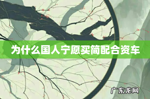 为什么国人宁愿买简配合资车