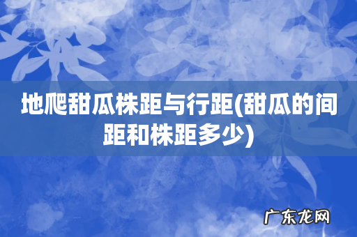 甜瓜的间距和株距多少 地爬甜瓜株距与行距