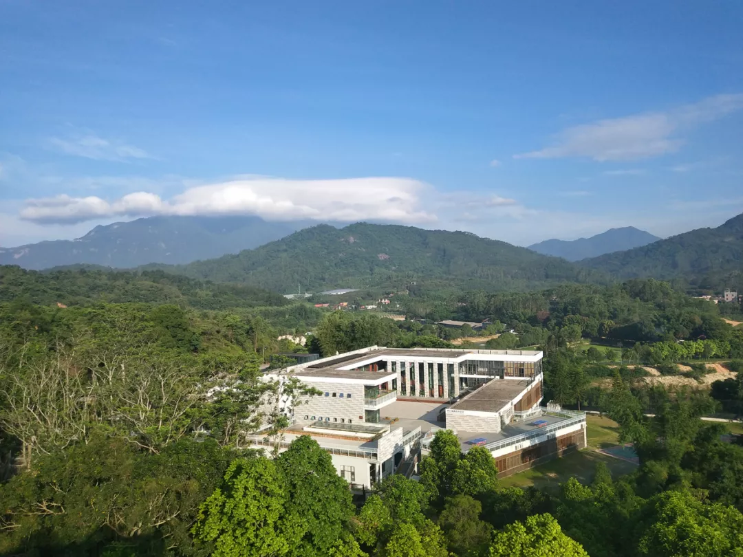 曾仕强是个什么样的人 曾仕强教授讲风水